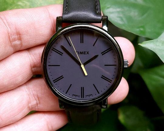 Timex Classic Simple Quartz T2N793